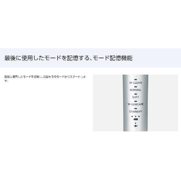 松下 Panasonic EW-CDP52-S 电动牙刷 Doltz 银色 [震动式]