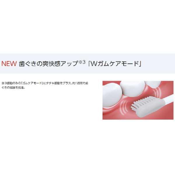 松下 Panasonic EW-CDP52-S 电动牙刷 Doltz 银色 [震动式]